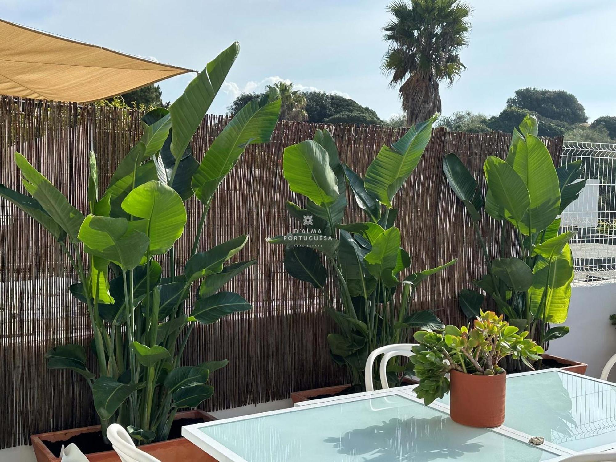 Appartement Mare Aveiros Albufeira